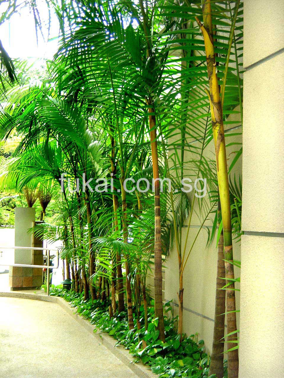 Custom Made Plant Ornaments At The Sidewall