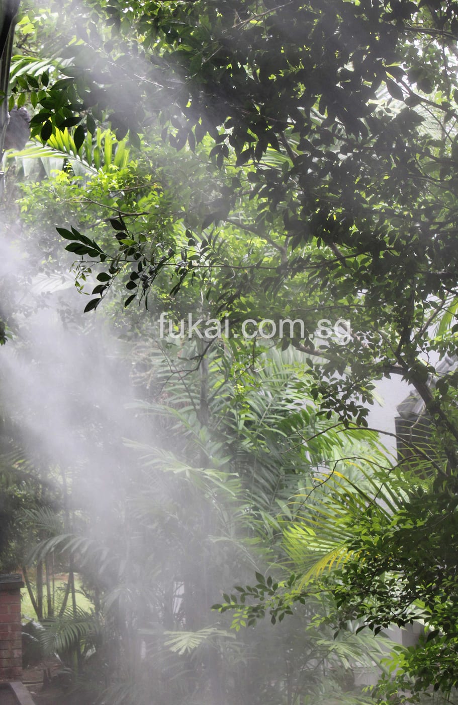 Garden Covered With Cool Mist