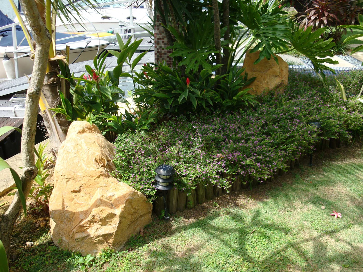 Green Outdoor Landscape