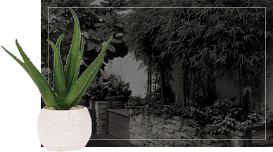 landscape background with garden pot