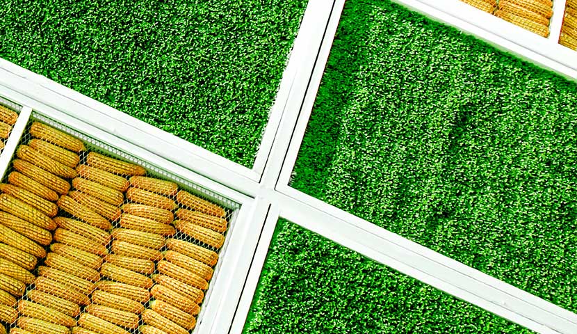artistic artificial grass in square formation