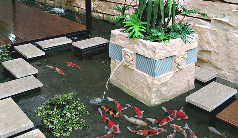 outdoor koi ponds with water feature