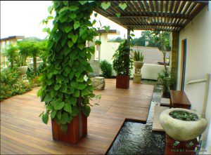 natural looking timber rack with plants