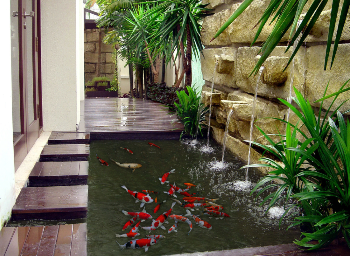 koi pond with water feature