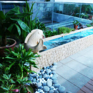 Modern Royal Wisdom Design Water Feature Pond at Rooftop Garden